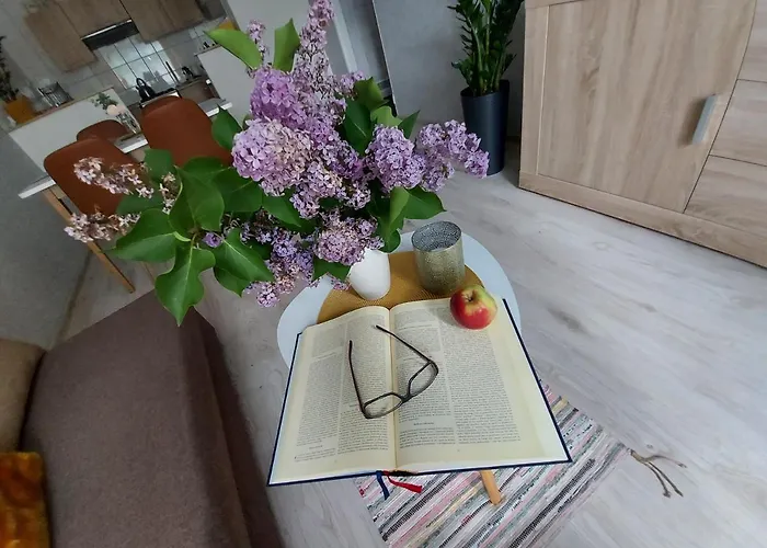 Apartament Wagrowiec, Gabi - Remigiusz Kiszka